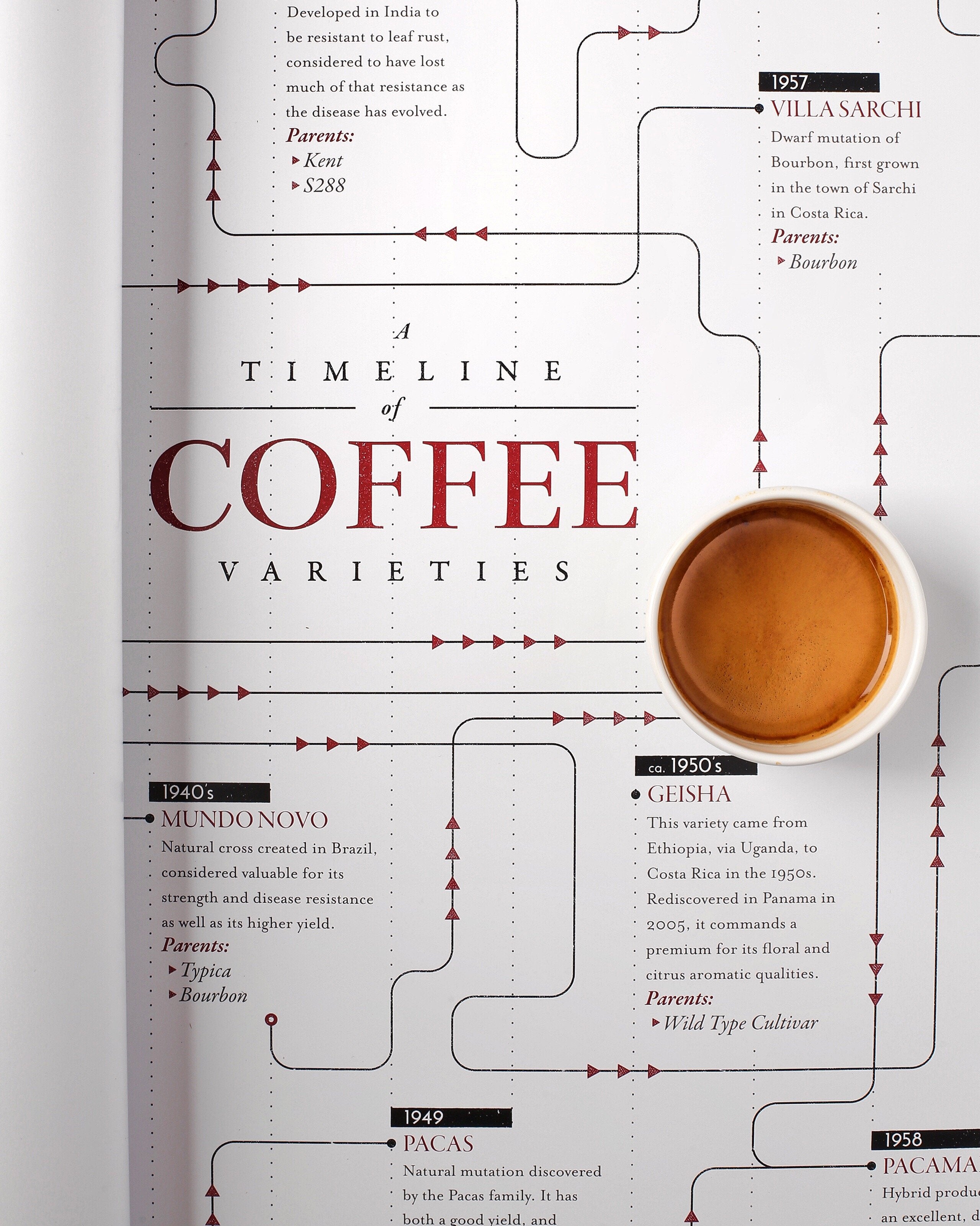 Variety Family Tree Timeline Print